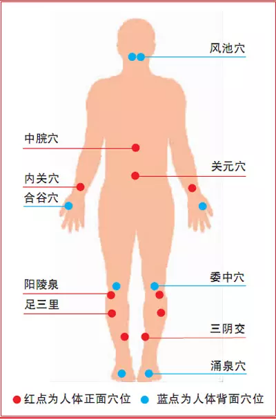 人体10大穴位能治病