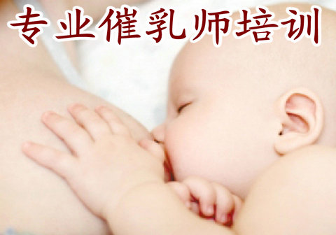 中医药适宜技术培训项目(催乳)