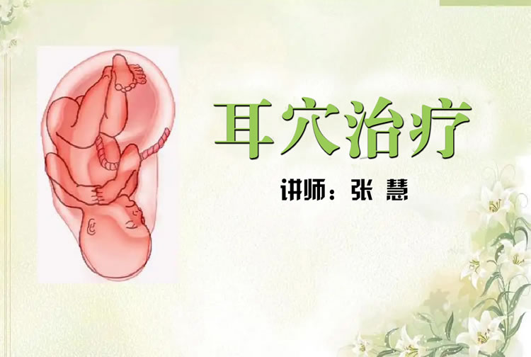 中医药适宜技术专项课程：耳穴疗法